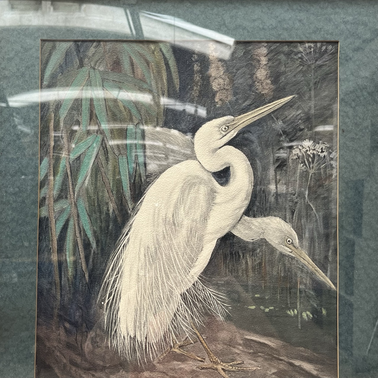 Artwork Marie Kelting "Great White Egret"