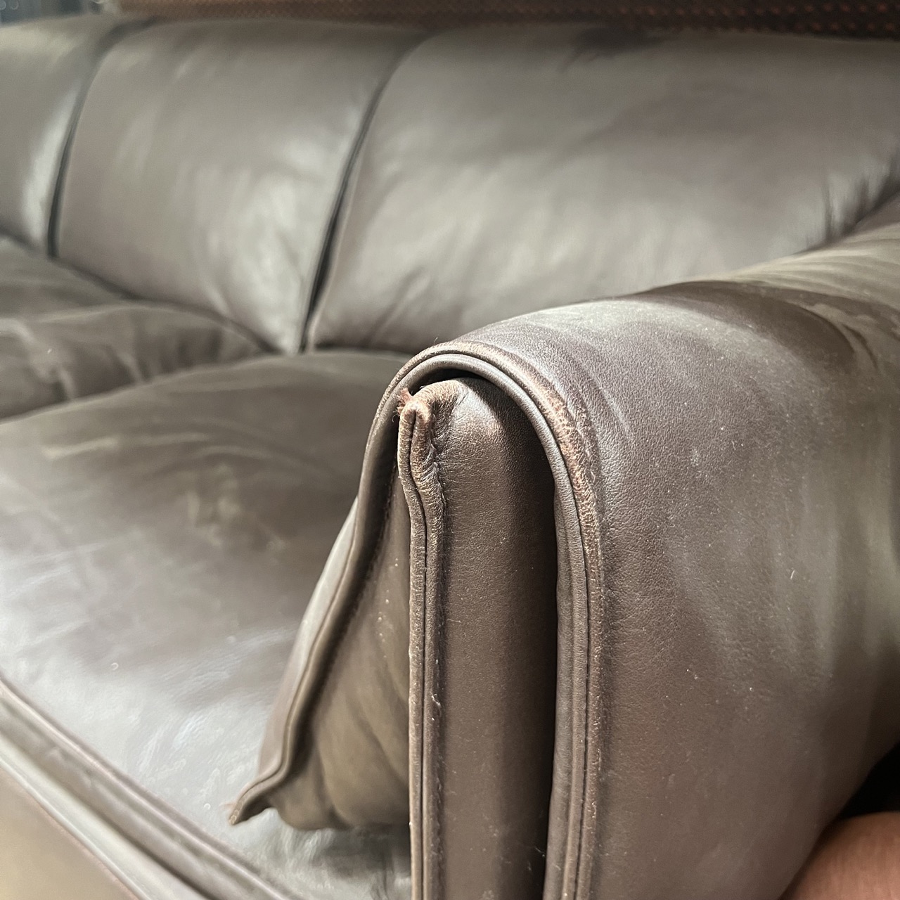 "Lotus" Sofa  