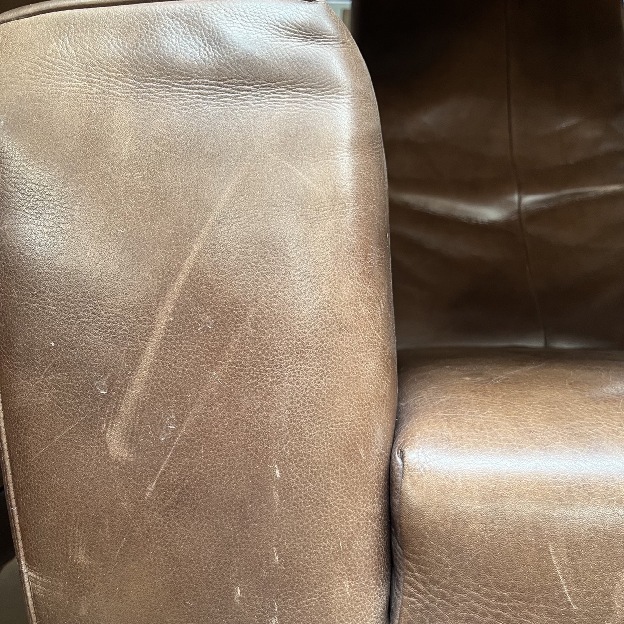 "Longa" Easy Chair 